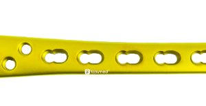 Distal Medial Tibial Locking Plate-I