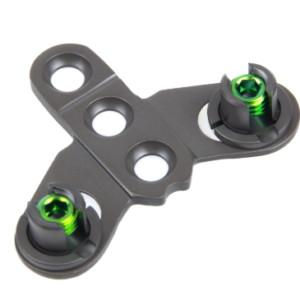 Occipital Plate-I