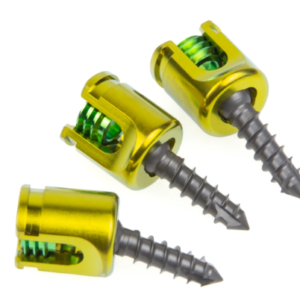 Polyaxial Pedicle Screw